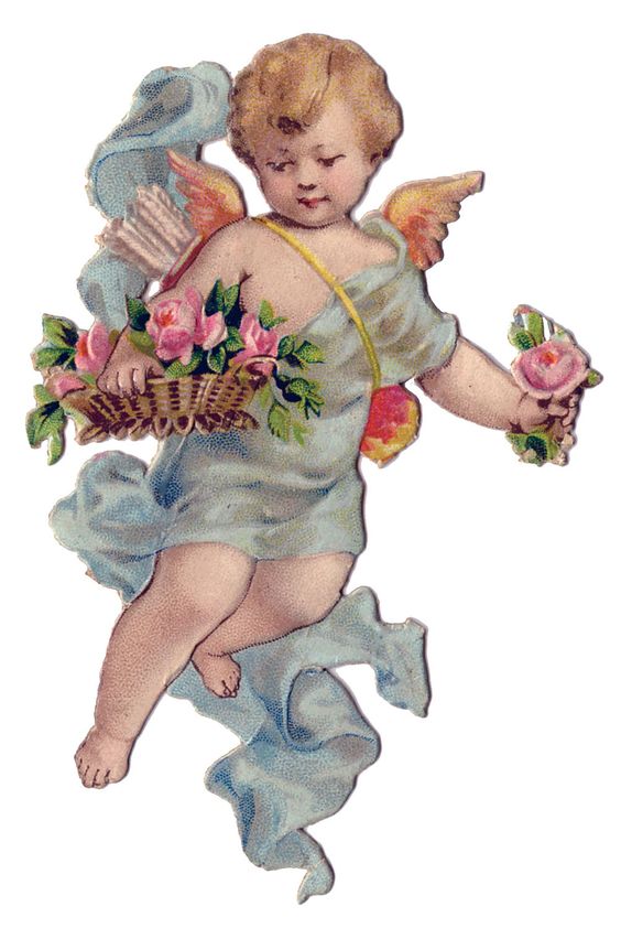 cherub